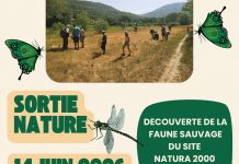 Découverte de la faune sauvage du site Natura 2000 de l’Asse le 14 juin à Estoublon