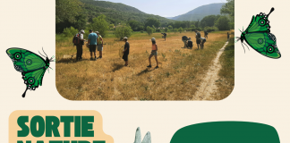 Découverte de la faune sauvage du site Natura 2000 de l’Asse le 14 juin à Estoublon